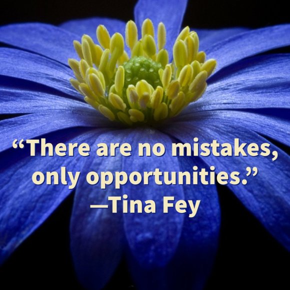 Opportunities! - Picture 1 of 1